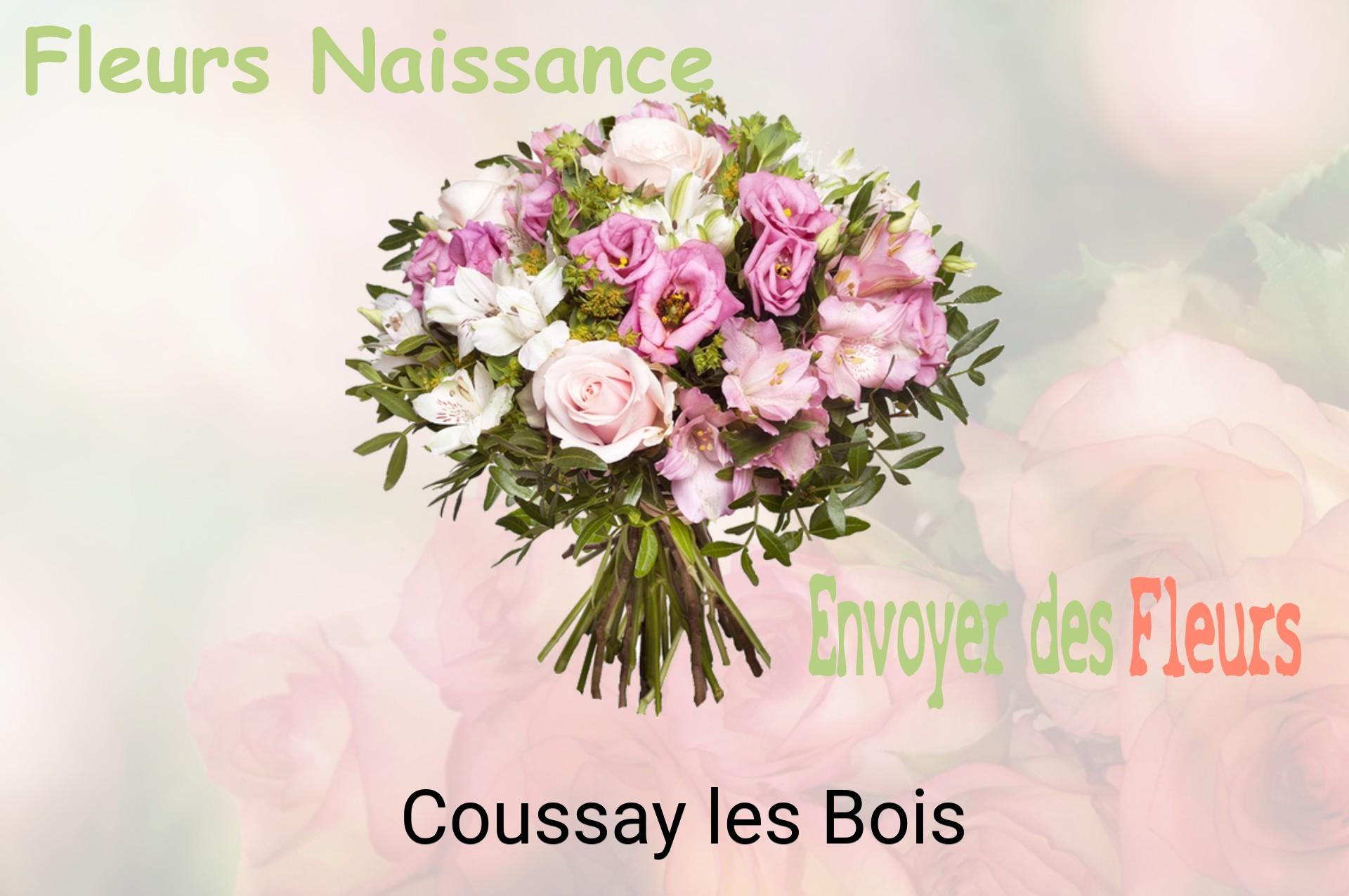 Bouquet de fleurs de naissance livré à Coussay-les-Bois