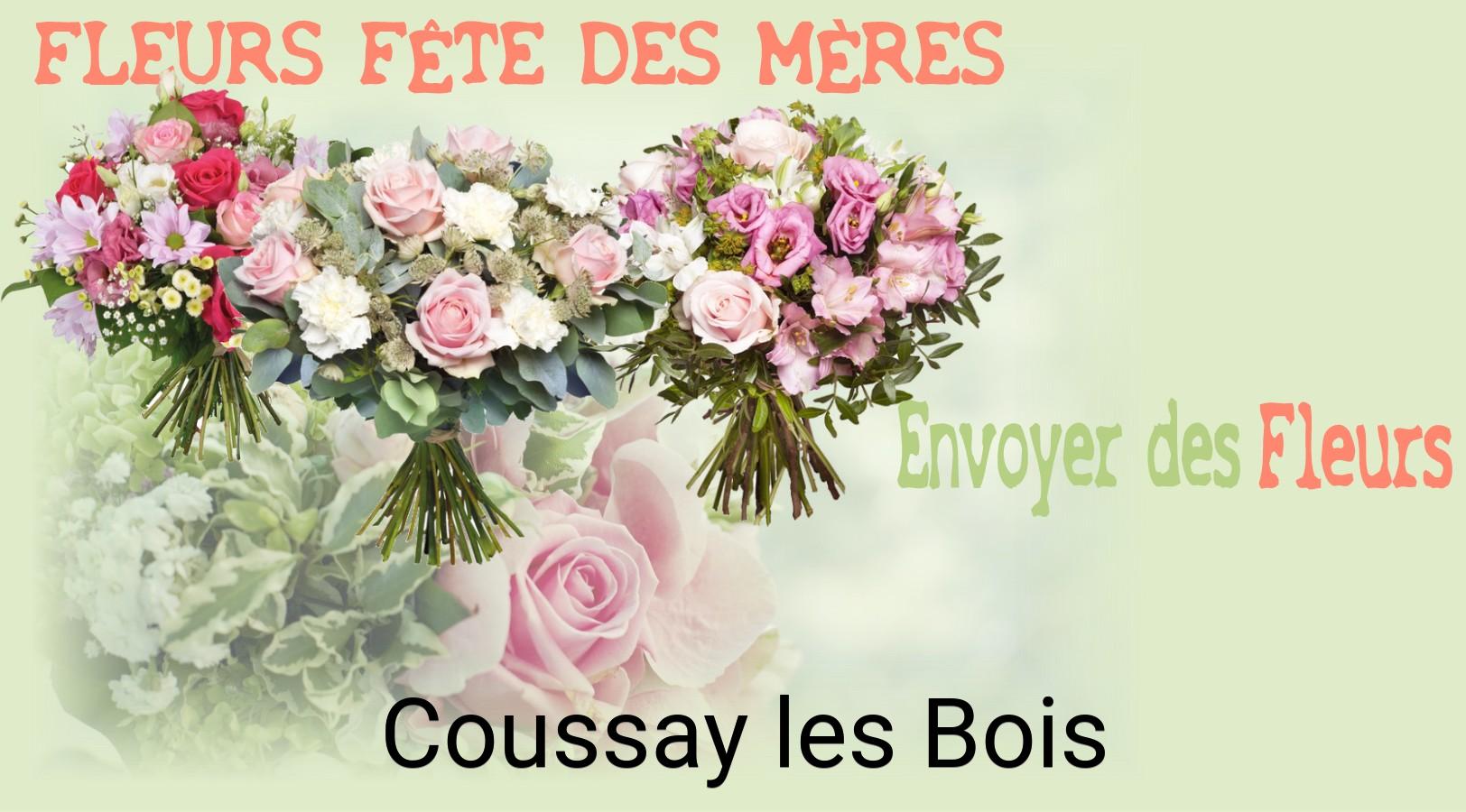 Bouquet de Fête des Mères livré à Coussay-les-Bois